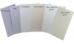 Set of 25 A4 sheets - 125g