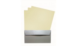 Pack Rose jaune givrée 11x22 (iridescent)